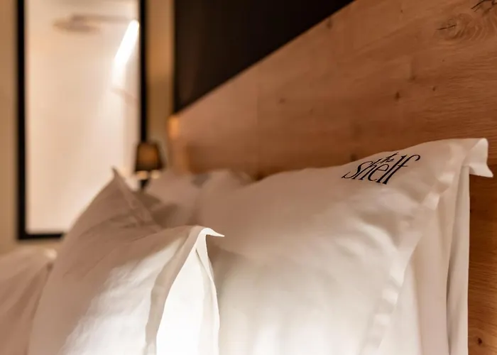 The Shelf - & Apartamento Bastogne